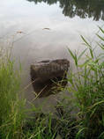 foto/diskuze/vseobecna/2014/th-img108688.jpg