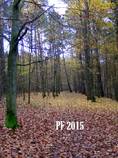 foto/diskuze/vseobecna/2014/th-img111361.jpg