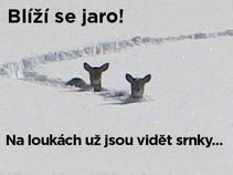 foto/diskuze/vseobecna/2018/th-img128147.jpg