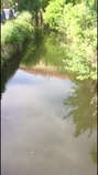 foto/diskuze/vseobecna/2018/th-img129049.jpg