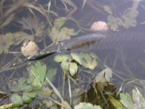 foto/diskuze/vysocina/2010/th-img38228.jpg