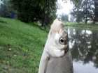 foto/diskuze/z_lovu/2005/th-img1028.jpg