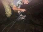 foto/diskuze/z_lovu/2005/th-img1033.jpg