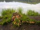 foto/diskuze/z_lovu/2005/th-img1125.jpg