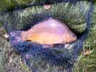 foto/diskuze/z_lovu/2005/th-img1204.jpg