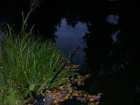 foto/diskuze/z_lovu/2005/th-img1237.jpg