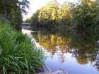 foto/diskuze/z_lovu/2005/th-img1270.jpg