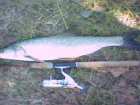 foto/diskuze/z_lovu/2005/th-img1287.jpg
