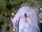 foto/diskuze/z_lovu/2005/th-img1312.jpg