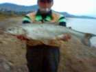 foto/diskuze/z_lovu/2005/th-img1320.jpg