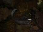 foto/diskuze/z_lovu/2005/th-img1337.jpg