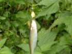 foto/diskuze/z_lovu/2005/th-img1340.jpg