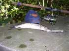 foto/diskuze/z_lovu/2005/th-img1348.jpg