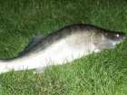 foto/diskuze/z_lovu/2005/th-img1376.jpg