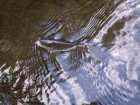 foto/diskuze/z_lovu/2005/th-img1404.jpg