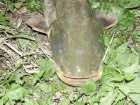 foto/diskuze/z_lovu/2005/th-img1408.jpg