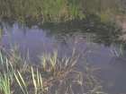 foto/diskuze/z_lovu/2005/th-img1449.jpg