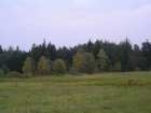 foto/diskuze/z_lovu/2005/th-img1456.jpg