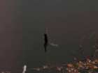 foto/diskuze/z_lovu/2005/th-img1486.jpg