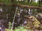 foto/diskuze/z_lovu/2005/th-img1498.jpg