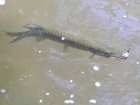foto/diskuze/z_lovu/2005/th-img1513.jpg