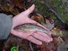 foto/diskuze/z_lovu/2005/th-img1601.jpg