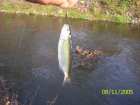 foto/diskuze/z_lovu/2005/th-img1604.jpg
