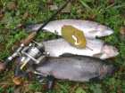 foto/diskuze/z_lovu/2005/th-img1630.jpg