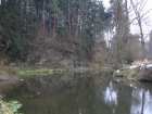 foto/diskuze/z_lovu/2005/th-img1782.jpg