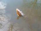 foto/diskuze/z_lovu/2005/th-img1808.jpg