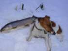 foto/diskuze/z_lovu/2005/th-img1818.jpg