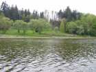 foto/diskuze/z_lovu/2005/th-img305.jpg