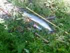 foto/diskuze/z_lovu/2005/th-img380.jpg