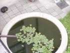 foto/diskuze/z_lovu/2005/th-img464.jpg