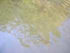 foto/diskuze/z_lovu/2005/th-img509.jpg
