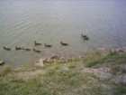 foto/diskuze/z_lovu/2005/th-img578.jpg