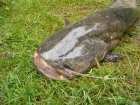 foto/diskuze/z_lovu/2005/th-img662.jpg