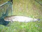 foto/diskuze/z_lovu/2005/th-img689.jpg