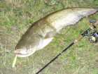 foto/diskuze/z_lovu/2005/th-img751.jpg