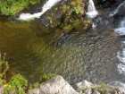 foto/diskuze/z_lovu/2005/th-img972.jpg
