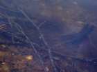 foto/diskuze/z_lovu/2006/th-img10062.jpg