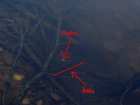 foto/diskuze/z_lovu/2006/th-img10063.jpg