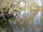 foto/diskuze/z_lovu/2006/th-img10160.jpg