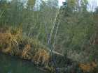 foto/diskuze/z_lovu/2006/th-img10306.jpg