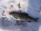foto/diskuze/z_lovu/2006/th-img1873.jpg