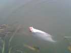 foto/diskuze/z_lovu/2006/th-img6496.jpg