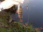foto/diskuze/z_lovu/2006/th-img7283.jpg
