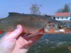 foto/diskuze/z_lovu/2006/th-img7305.jpg