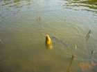 foto/diskuze/z_lovu/2006/th-img7442.jpg