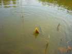 foto/diskuze/z_lovu/2006/th-img7443.jpg